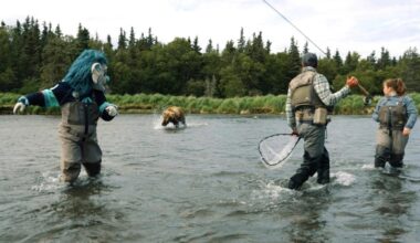Alaskan bear encounter with Kraken mascot caught on video