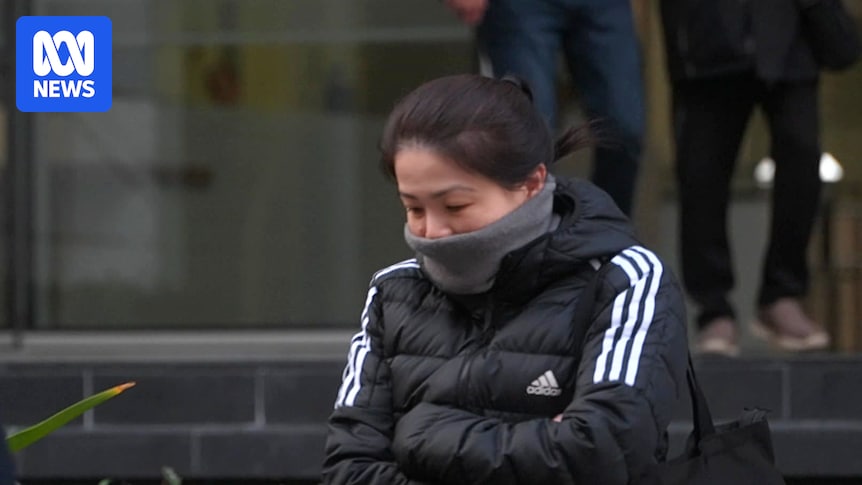 Jennifer Mui Len Chin, who stabbed teen daughter's boyfriend, was 'trying to protect family'