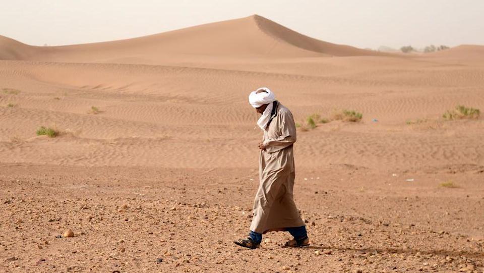 A meteorite hunter walks across a desert landscape looking down as he searches for rocks. The ground is barren and a sand dune can be seen in the background.