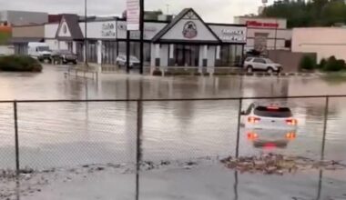 Parents, child killed when tree falls on car as heavy rain and flooding hit Tennessee