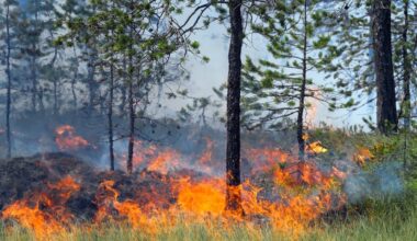 Four new wildland fires confirmed in Ontario's Northeast region