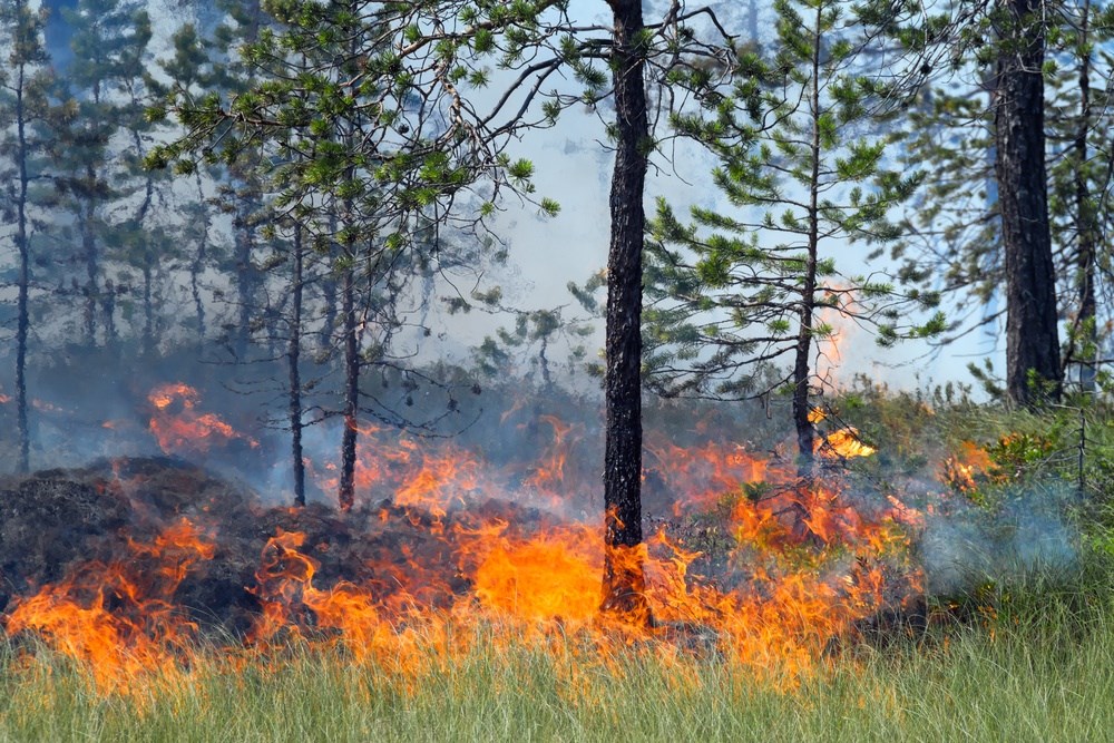 Four new wildland fires confirmed in Ontario's Northeast region