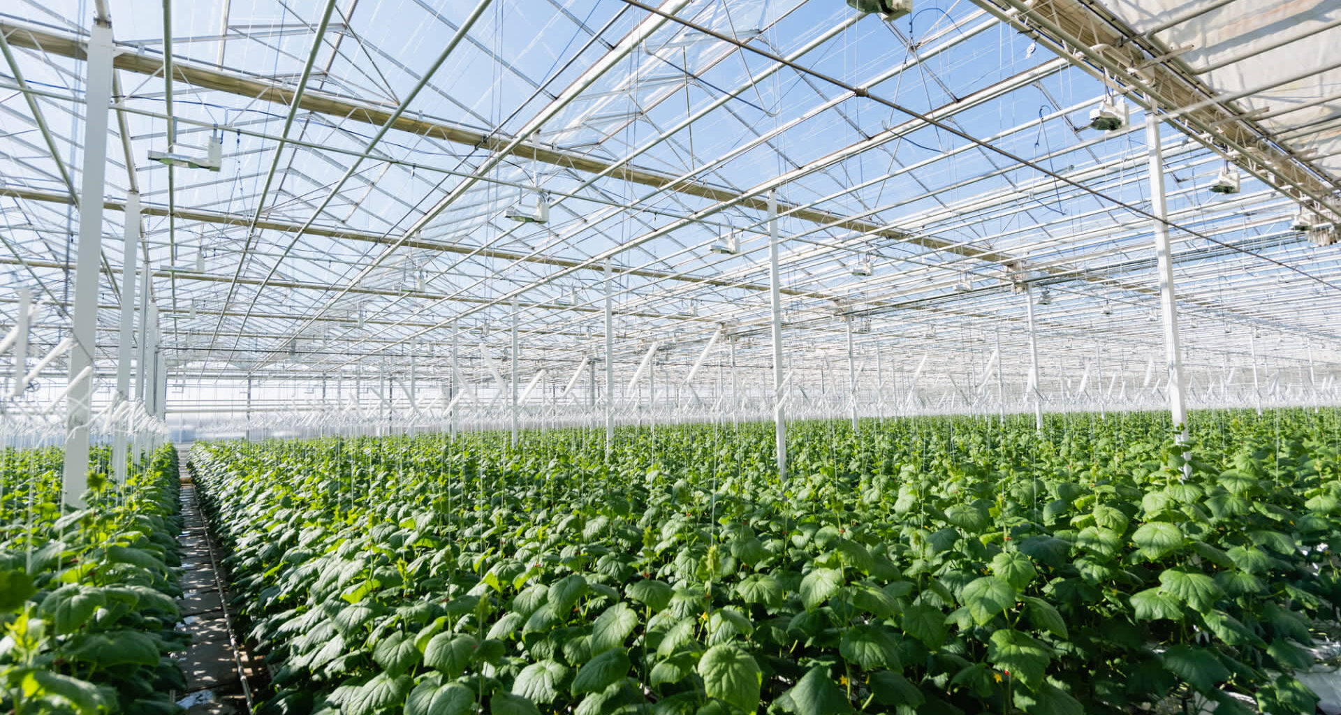 "We're able to work far more efficiently."