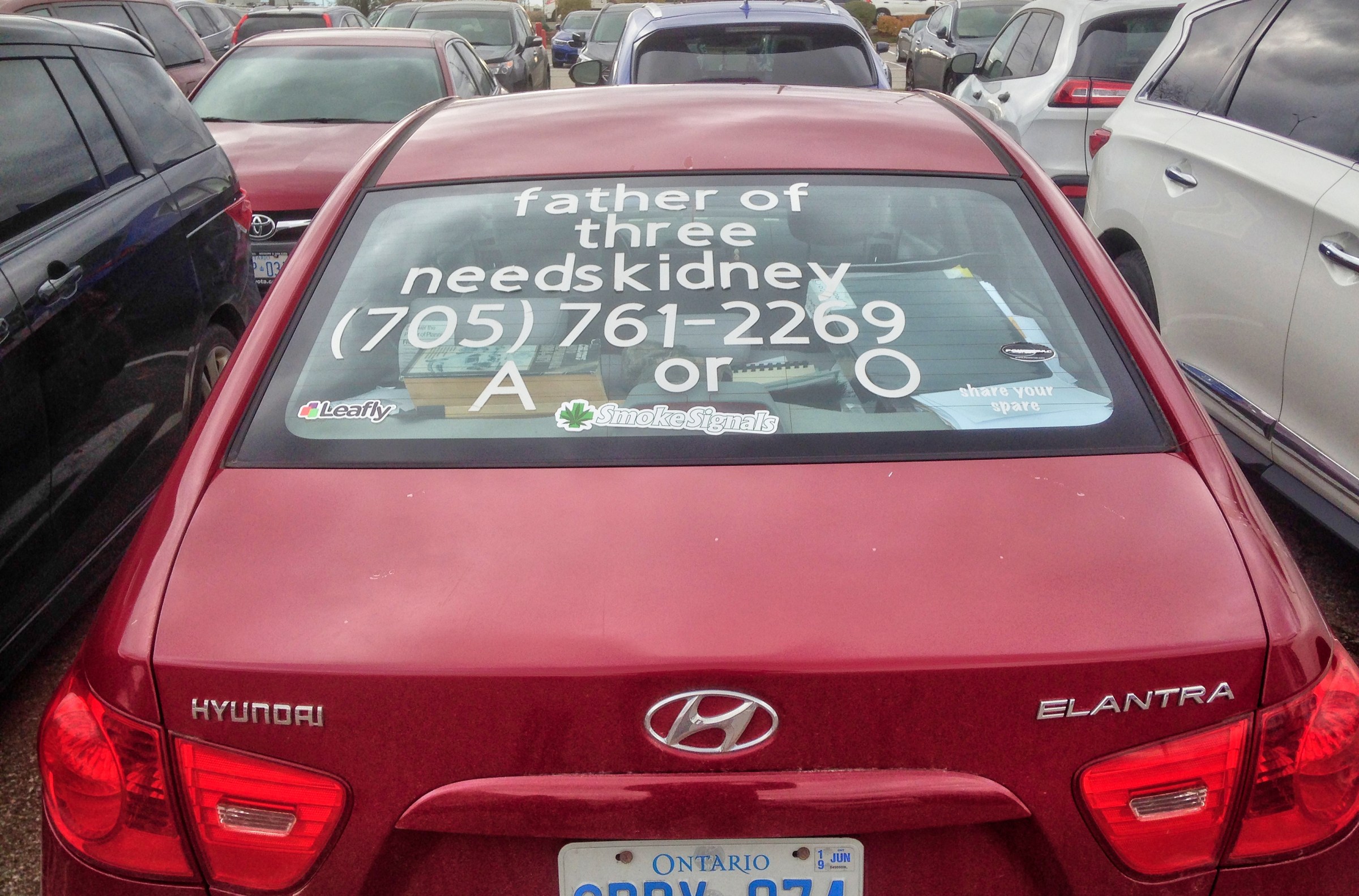 A sign on the back of a vehicle pleading for someone to donate a kidney to a sick man in Ontario, Canada.