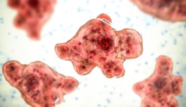Rare brain-eating amoeba infection possibly linked to water skiing confirmed in Missouri