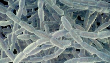 Legionnaires' disease reported at Bronx apartment building, NYC health officials say