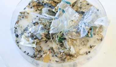 Plastic causing "disease and death from infancy to old age" that costs $1.5 trillion a year, report warns