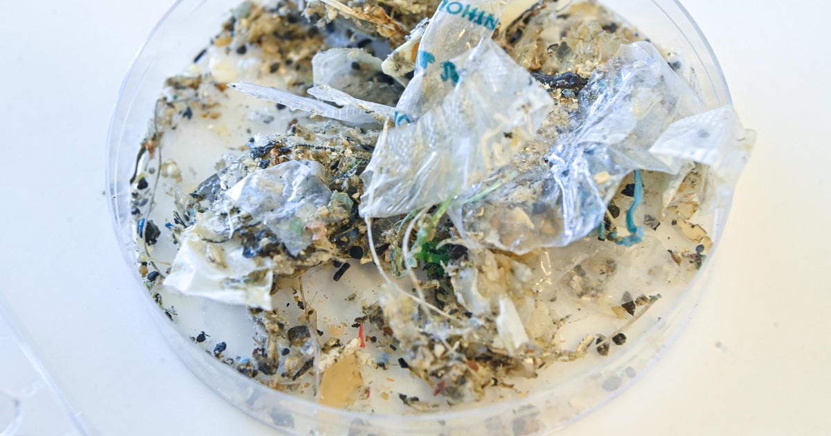 Plastic causing "disease and death from infancy to old age" that costs $1.5 trillion a year, report warns