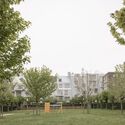 Grande Haie Social Housing  / P&P Architectes - Image 5 of 32