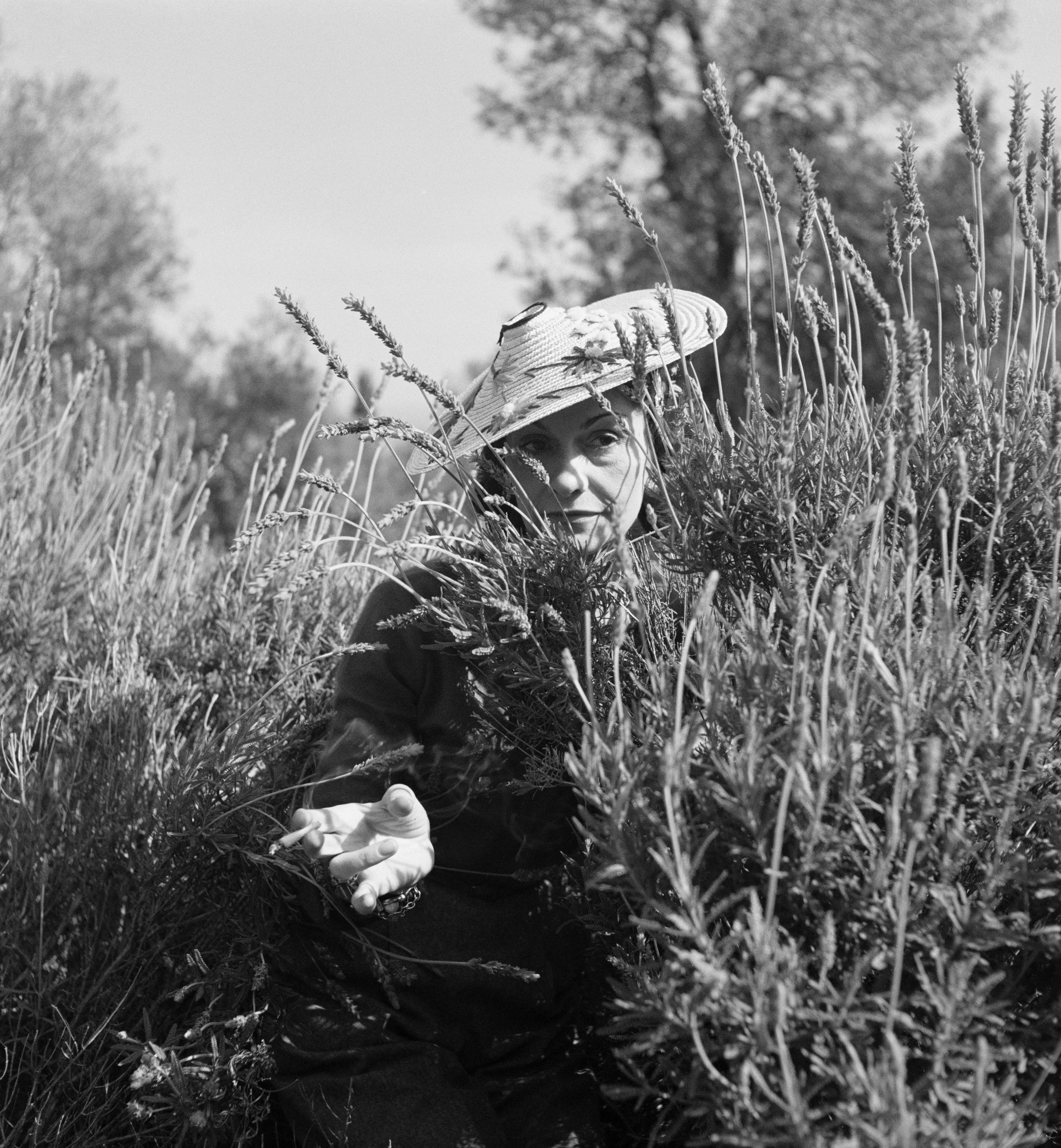 Coco Chanel in Lavender Field