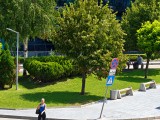 Honor Magic V5: 16MP telephoto camera 6x zoom samples - f/2.5, ISO 50, 1/250s - Honor Magic V5 review