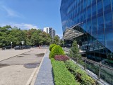 Honor Magic V5: 12.5MP main camera samples - f/1.6, ISO 50, 1/2800s - Honor Magic V5 review