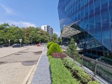Honor Magic V5: 50MP main camera samples - f/1.6, ISO 50, 1/2600s - Honor Magic V5 review