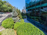 Honor Magic V5: 12.5MP ultrawide camera samples - f/2.0, ISO 50, 1/930s - Honor Magic V5 review
