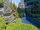 Honor Magic V5: 12.5MP main camera samples - f/1.6, ISO 50, 1/1600s - Honor Magic V5 review