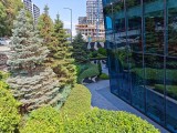 Honor Magic V5: 50MP main camera samples - f/1.6, ISO 50, 1/1500s - Honor Magic V5 review
