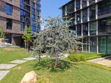 Honor Magic V5: 50MP main camera samples - f/1.6, ISO 50, 1/2200s - Honor Magic V5 review
