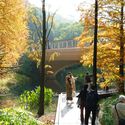 Guangzhou Yunxi Botanical Garden / AECOM + Architectural Design & Research Institute of SCUT + Guangzhou Landscape Architectural Design & Research Institute - Exterior Photography, Forest