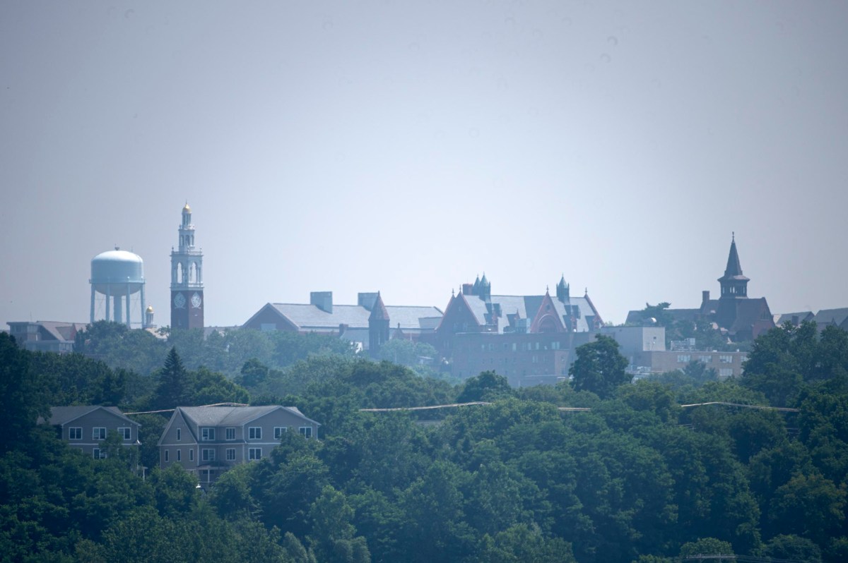 A distant view of a town skyline with historic buildings, a clock tower, and a water tower behind a foreground of dense green trees under a hazy sky.