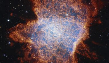 The Webb telescope saw a sun-like star on its deathbed. It wasn't alone.