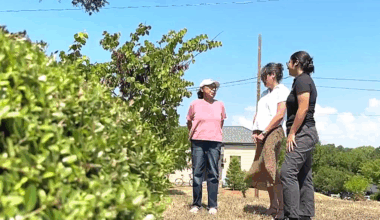 Free home repair program revitalizes Fort Worth's Northside