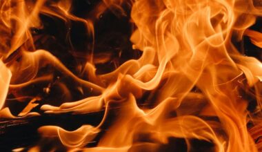 Man reads a book while south Georgia courthouse burns around him – WSB-TV Channel 2