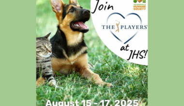 Humane Society, THE PLAYERS Championship hosting adoption event – 104.5 WOKV