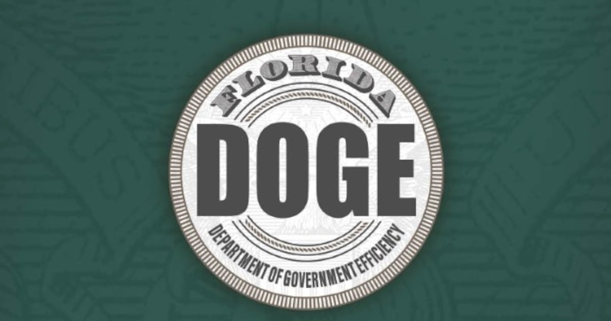 Florida DOGE team will be in Jacksonville Aug. 7-8 to identify ‘opportunities for improvement’ – Action News Jax