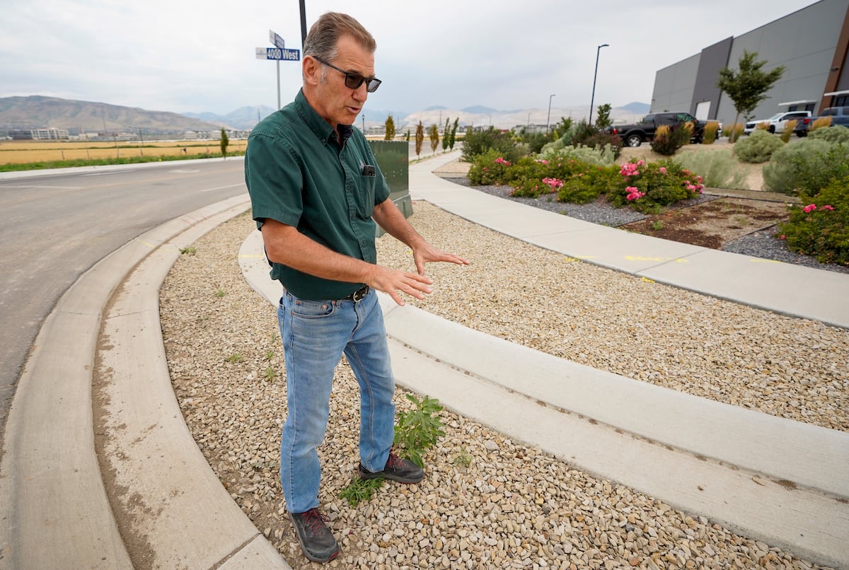 Dirty urban water flows to Great Salt Lake. Can Mother Nature help us fix it?