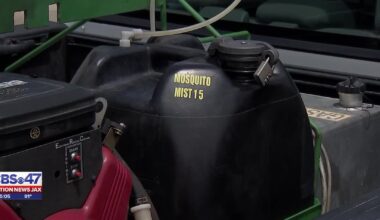 Duval and Glynn Counties see increase in mosquito-borne West Nile virus – 104.5 WOKV