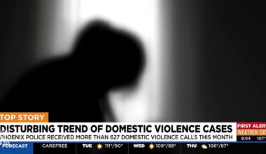 Recent cases show disturbing trend of domestic violence in Arizona