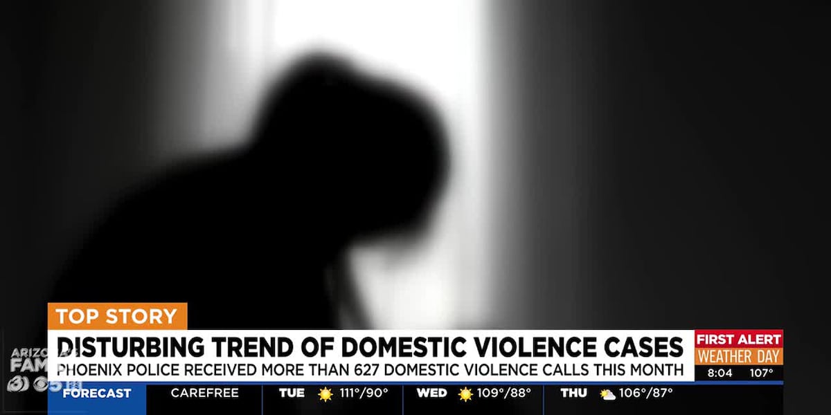 Recent cases show disturbing trend of domestic violence in Arizona