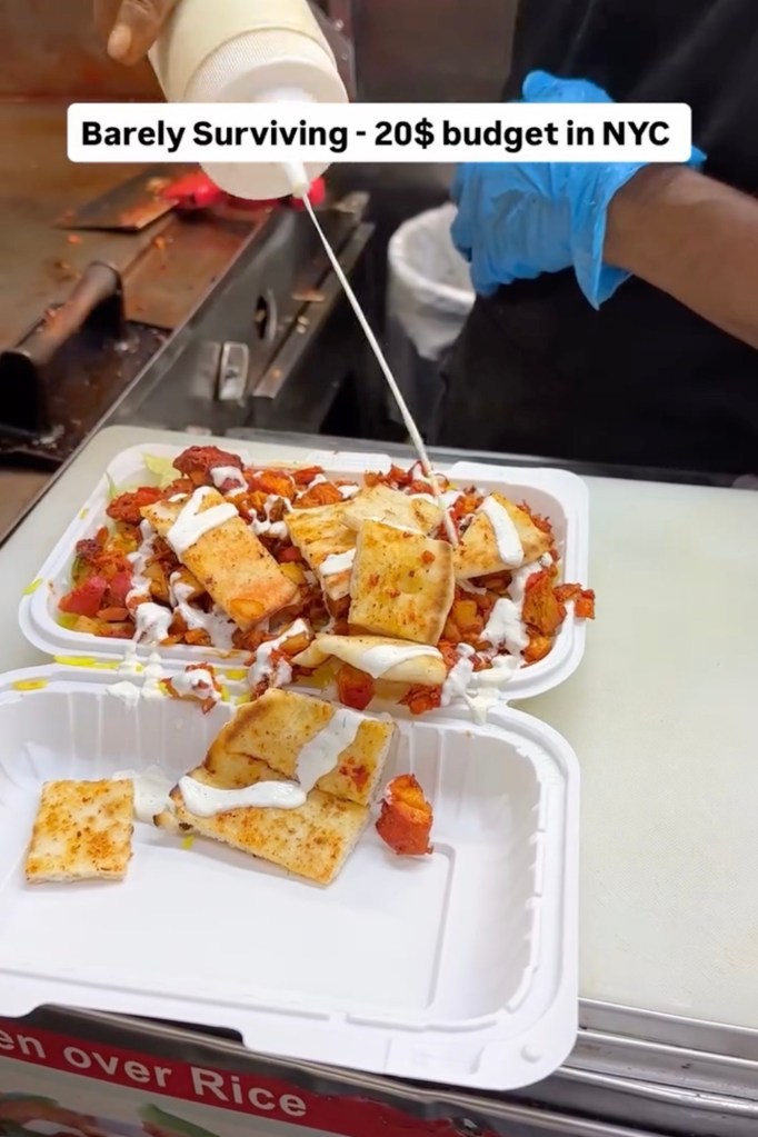 NYC food on a $20 budget.