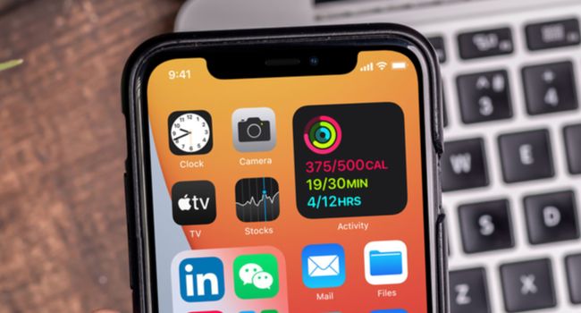 iPhone notch