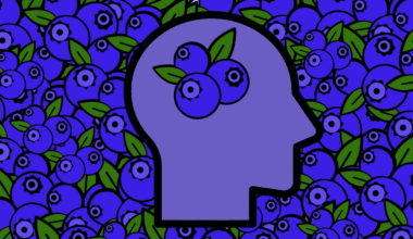 Eating Blueberries Could Help Improve Cognitive Function