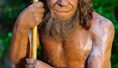 Macak et al. show that a genetic variant inherited from Neanderthals impairs the function of a key enzyme involved in muscle performance. Image credit: Holger Neumann / Neanderthal Museum.