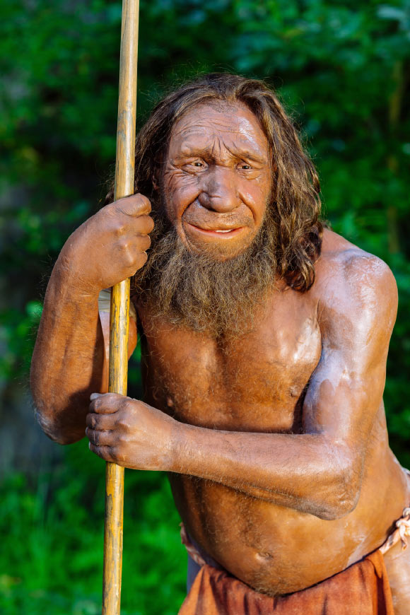Macak et al. show that a genetic variant inherited from Neanderthals impairs the function of a key enzyme involved in muscle performance. Image credit: Holger Neumann / Neanderthal Museum.