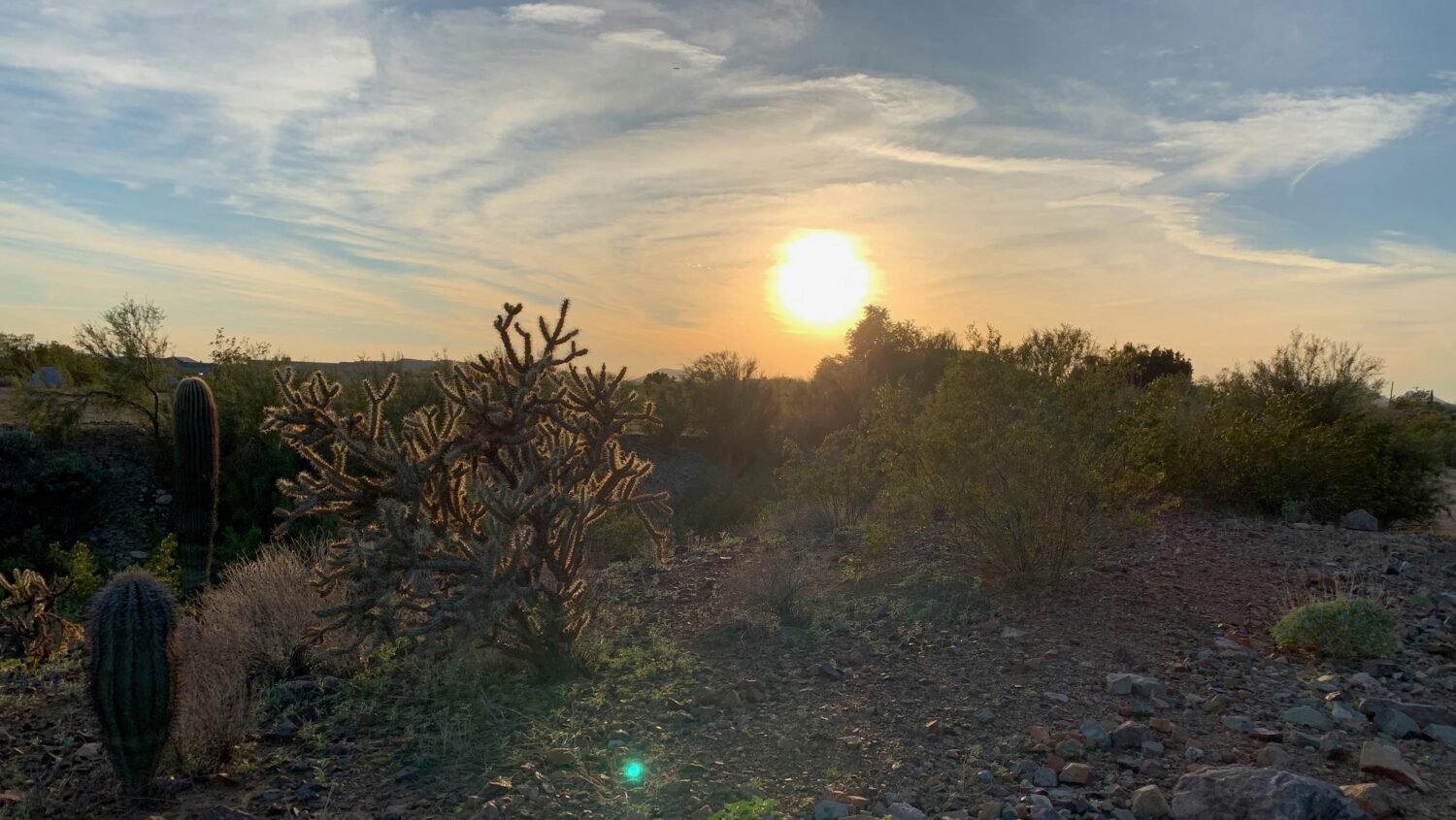 A daily heat record that was set 14 years ago in Phoenix was broken on Saturday....
