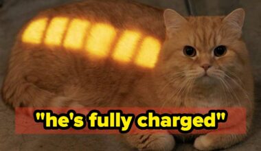 The Internet's Best Content This Week