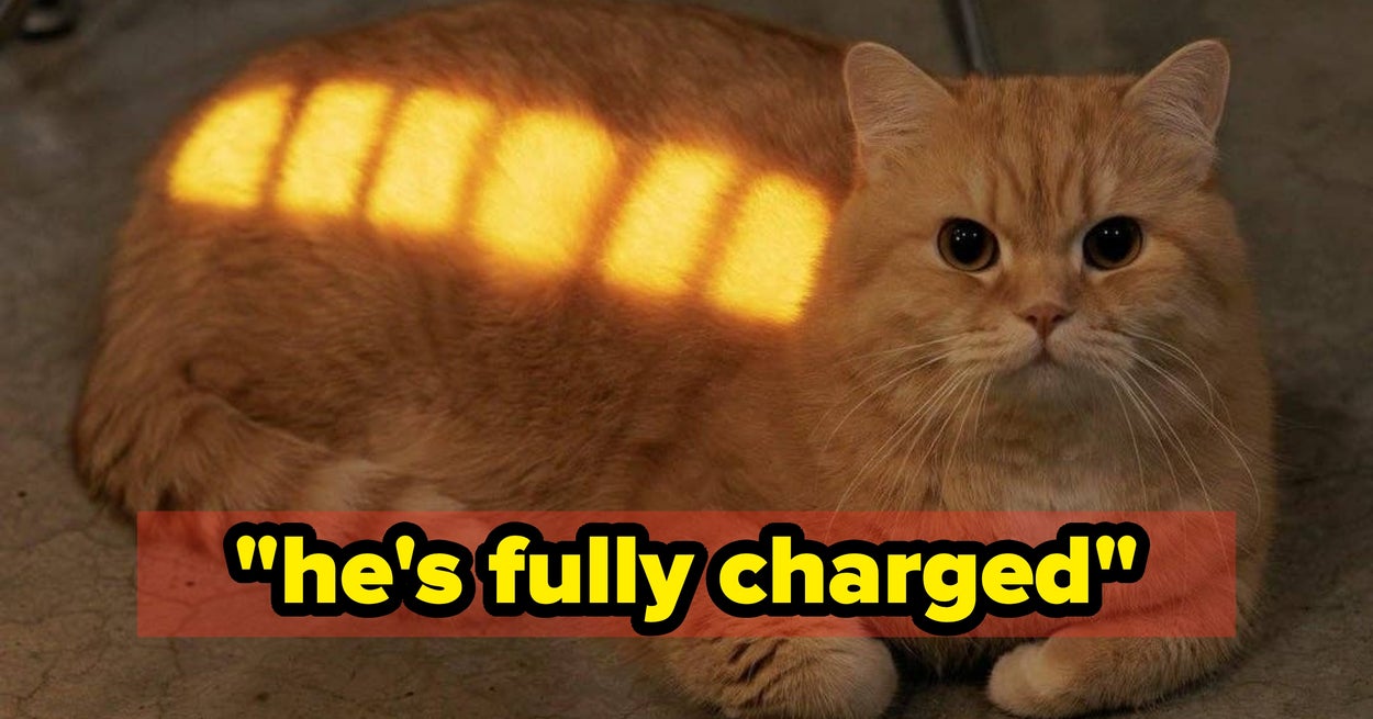 The Internet's Best Content This Week