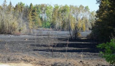 New fire blazes out of control in Kawartha Lakes, Ont.