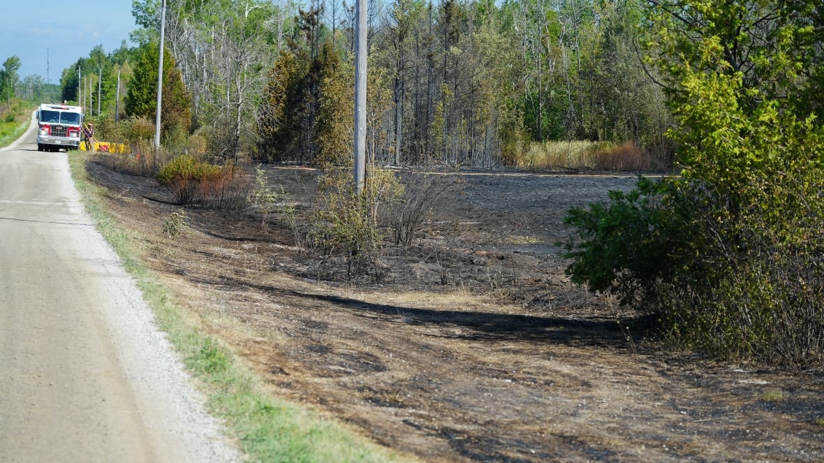 firetruck is by a road where a fire has passed through