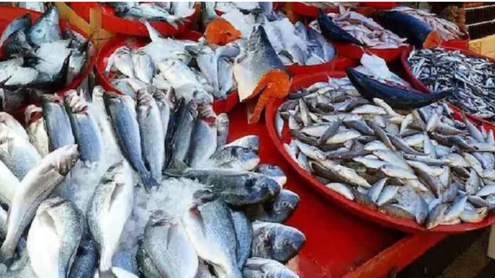 Trump Tariffs India: Which Sectors Are Going To Be Impacted Most Trump Tariffs India: Which Sectors Are Going To Be Impacted Most