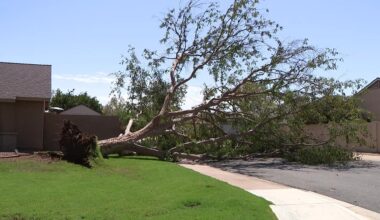Monsoon: Overnight storm left some damage in parts of the Phoenix area