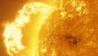 This Old Tree Revealed A Catastrophic Solar Storm From Millenia Ago