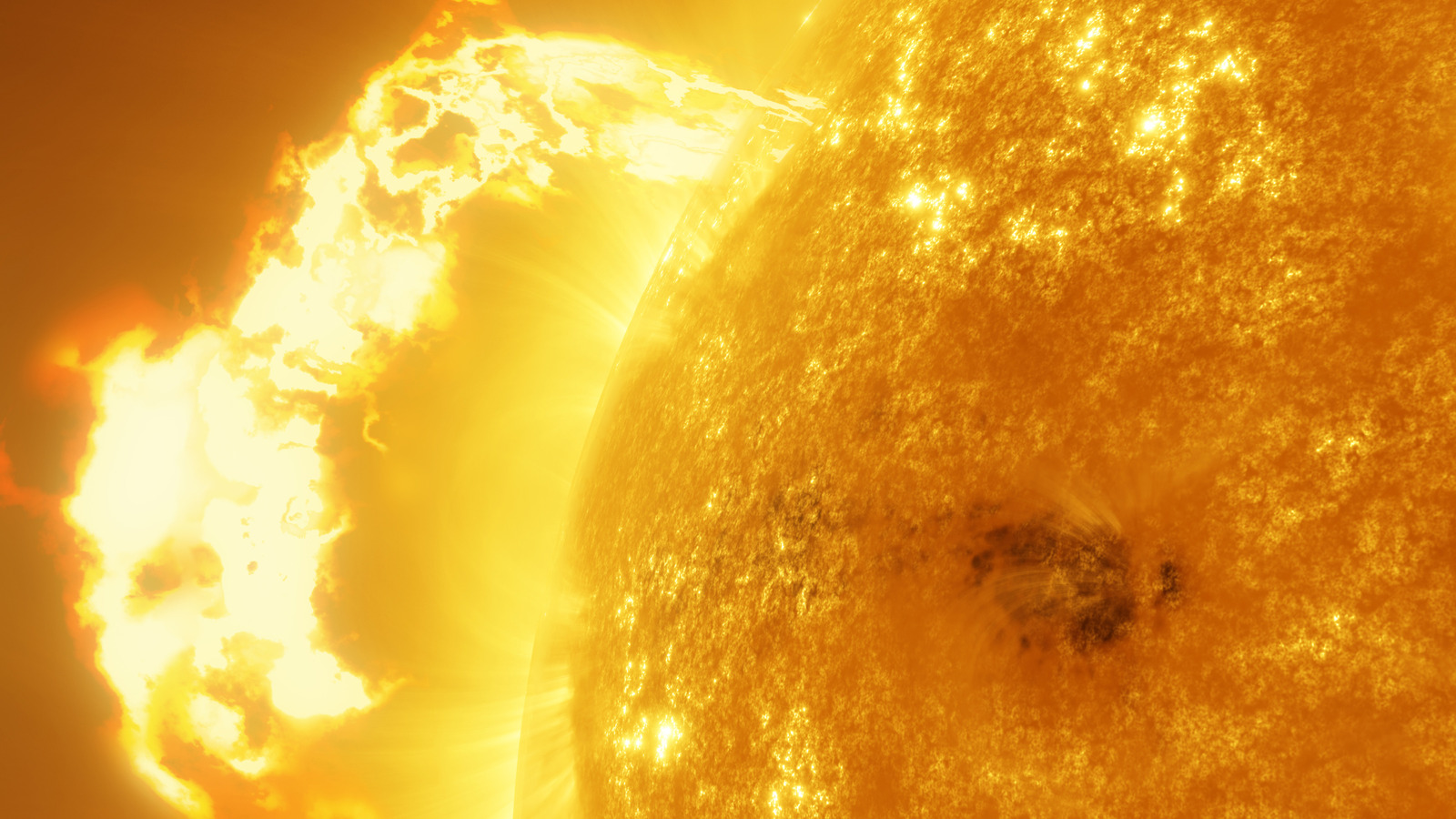 This Old Tree Revealed A Catastrophic Solar Storm From Millenia Ago