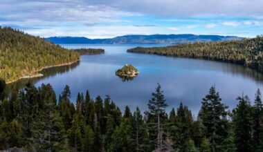 California resident tests positive for plague after camping near Lake Tahoe - National