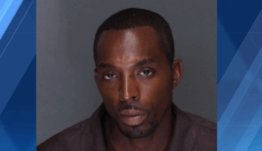 Animal cruelty investigation leads to arrest in New York