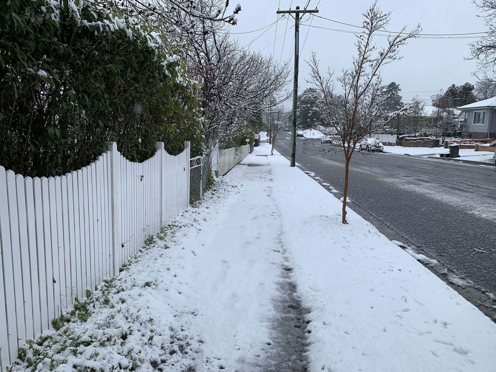 snow covering a footpath and trees in a surburban street