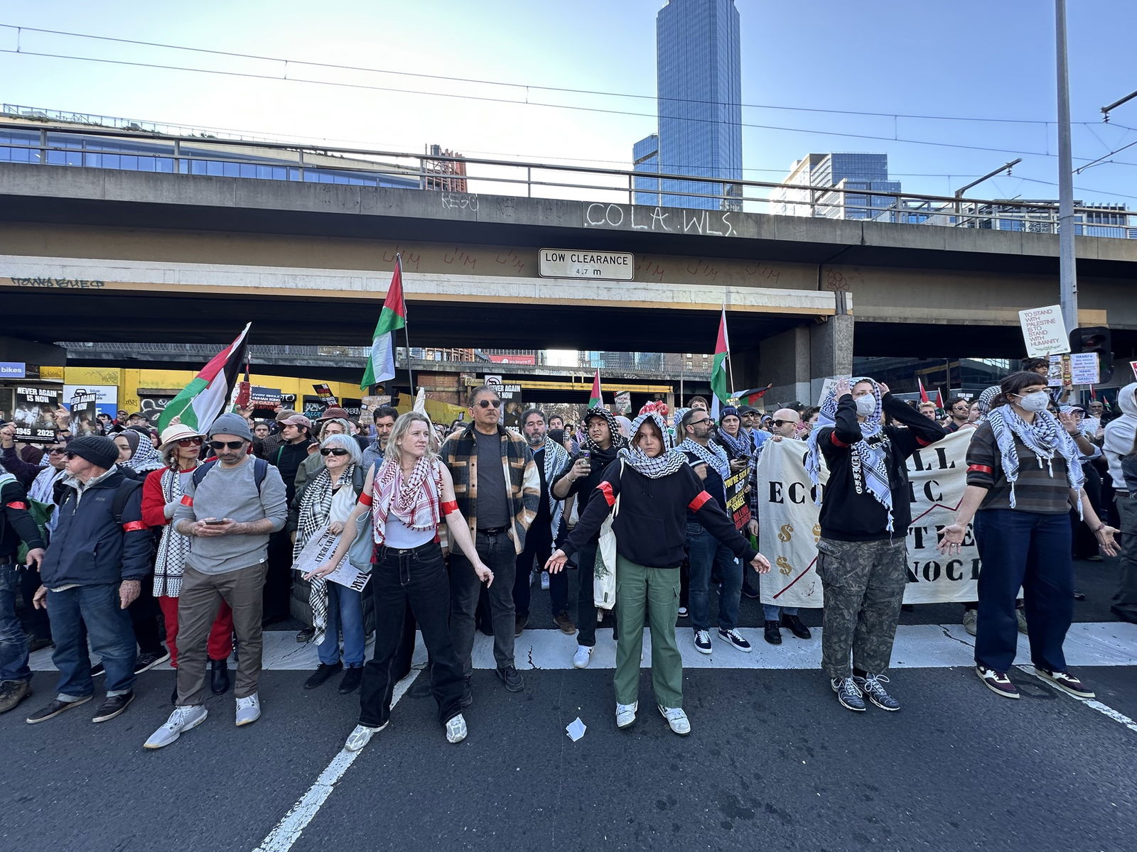 A large crowd holding flags and signs stands on a roadway under a rail overpass.